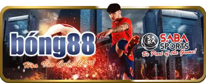 Tải ứng dụng 97vn cho Android