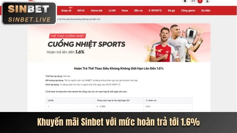 Cá cược quần vợt 97vn